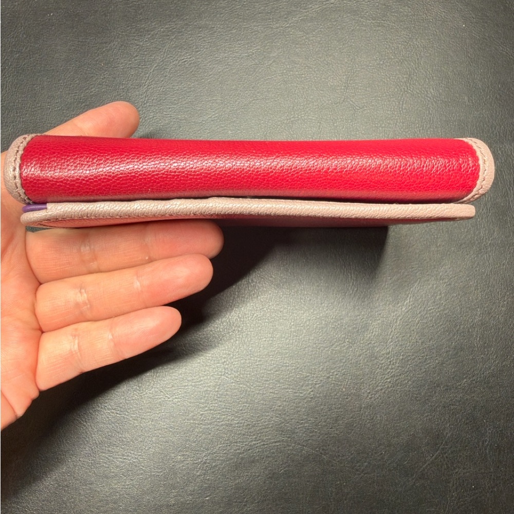 Loewe Amazona Wallet - Picture 6 of 16